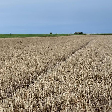 Noorhus - Kurzurlaub An Der Ostsee 马斯霍尔姆 外观 照片
