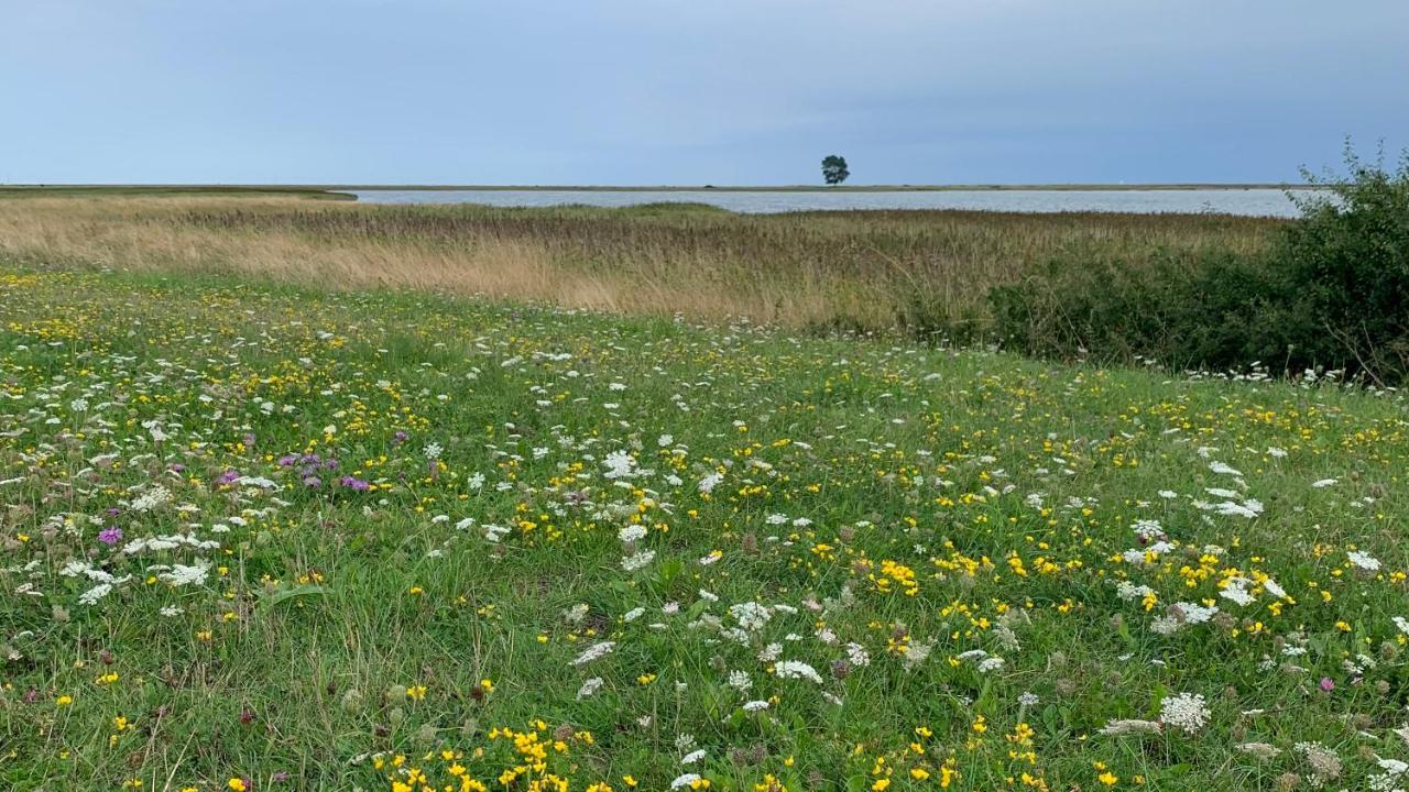 Noorhus - Kurzurlaub An Der Ostsee 马斯霍尔姆 外观 照片